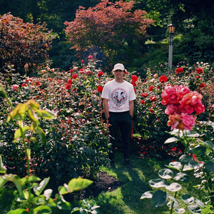 办公室艹逼视频
