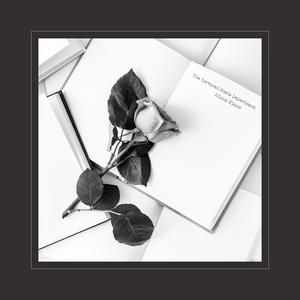 办公室艹逼视频
